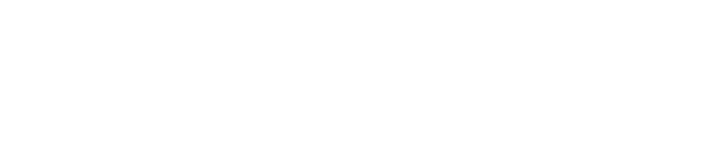 Leonhardt Group